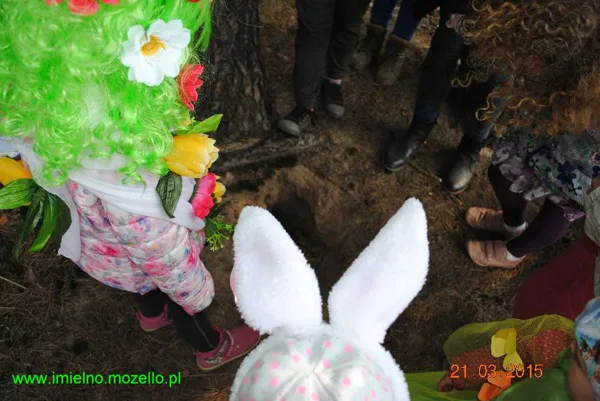 Czyja ta nora?